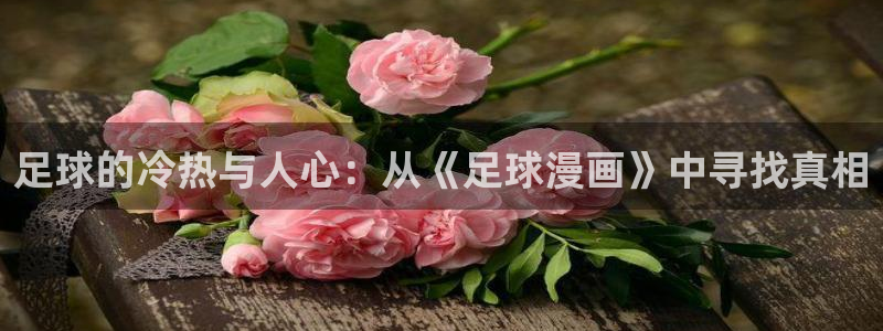 韩漫漫画免费阅读漫画：足球的冷热与人心：从《足球漫画》中寻找真相